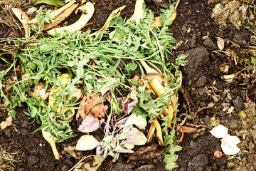 Organic Kitchen Waste Compost Heap