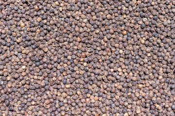 Black Peppercorns,Peppercorn Varieties. Milled black pepper.and Black pepper grains as background close up,texture,spice medicinal properties.