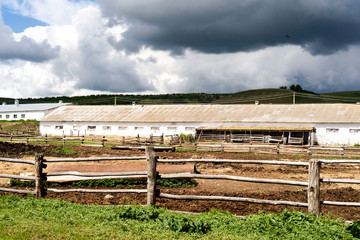 Fototapeta na wymiar Rural Russian European Farm in Summer