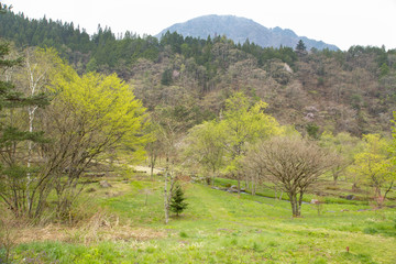 Okuhida