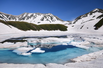 Fototapeta na wymiar Melting ice on Mikurigaike-pond