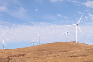 Wind turbines in dying grass