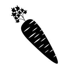 Delicious and fresh carrot icon vector illustration graphic design