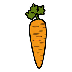 Delicious and fresh carrot icon vector illustration graphic design