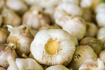 Close-up thailand garlic bulbs and garlic cloves on fresh garlic Background on market stand