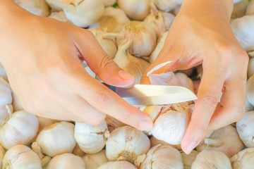 Garlic.Woman hands peeling garlic preparation for cooking in the kitchen on fresh garlic Background