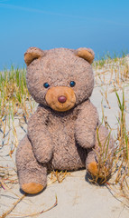 Teddy am Strand