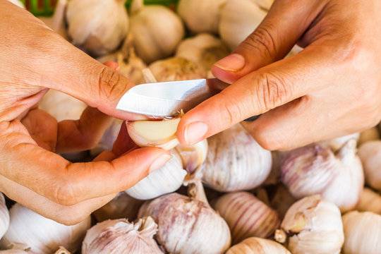 Garlic.Woman hands peeling garlic preparation for cooking in the kitchen on fresh garlic Background