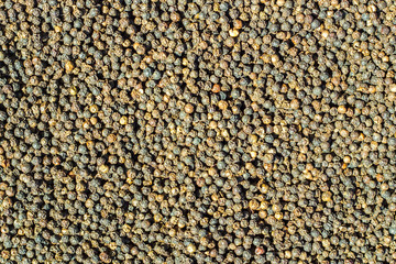 Black Peppercorns,Peppercorn Varieties. Milled black pepper.and Black pepper grains as background close up,texture,spice medicinal properties.