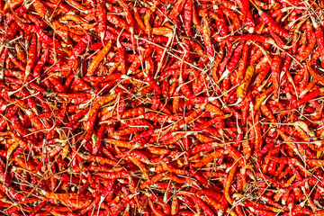 Fototapeta premium Hot and spicy Red Chilli ,Dried red chili,Pepper,Chillies as background for sale in a local food market,thai food ,close up,texture,spice medicinal properties.