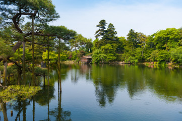 Fototapeta premium 金沢兼六園