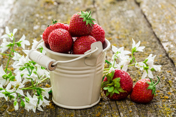 Fresh red strawberry