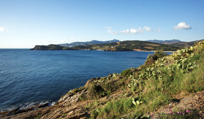 Fototapeta na wymiar littoral du Pays catalan