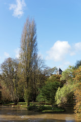 Le Loing rivière  du parc régional naturel du Gâtinais français.