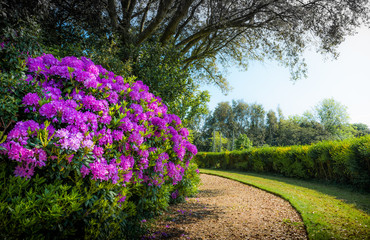 Home and Garden