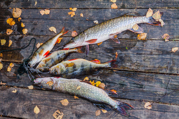 Pike