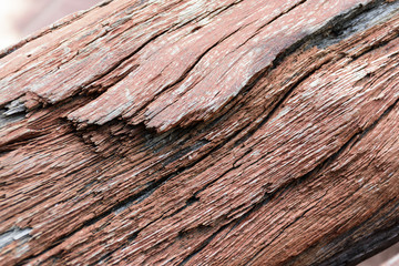 Fototapeta premium wooden texture background.
