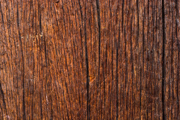 wood texture background