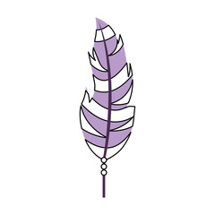 Boho style decorative feather vector illustration design