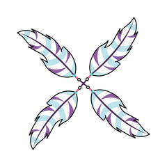 Boho style decorative feathers vector illustration design