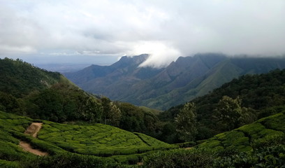 Fototapeta premium Malowniczy widok na zachodnie Ghaty w pobliżu Munnar w stanie Tamil Nadu