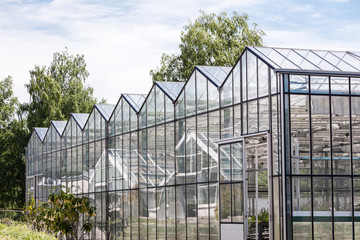 glass facade of greenhouse in garden against cloudy sky