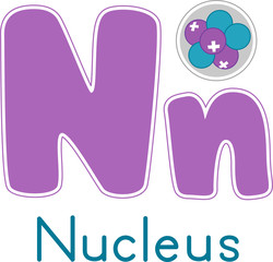 Physics Letter N for Nucleus