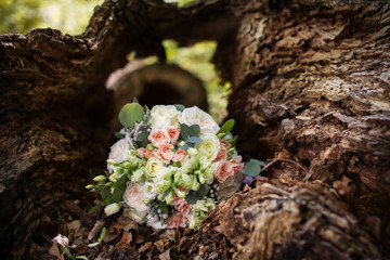 Obraz na płótnie Canvas Wedding bouquet in an old tree