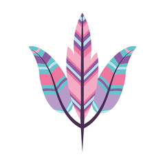 Boho style decorative feathers vector illustration design