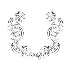 Boho style decorative feathers vector illustration design