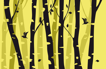 Birch Tree Birds Illustration