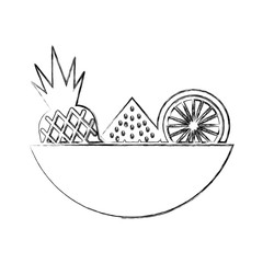 tray with tropical fruits vector illustration design