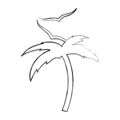 tree palm beach with gulls vector illustration design