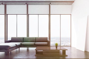 White living room with a window, toned