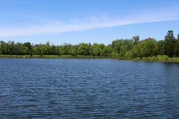 The blue looking lake in the park on a sunny day.