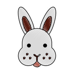 rabbit head isolated icon vector illustration design