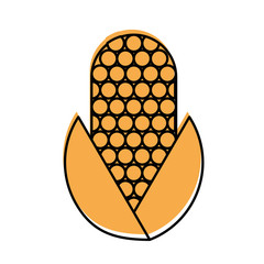 corn vegetable isolated icon vector illustration design