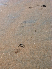 Follow in My Footsteps, Little One