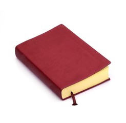 The book on white background
