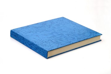 The book on white background