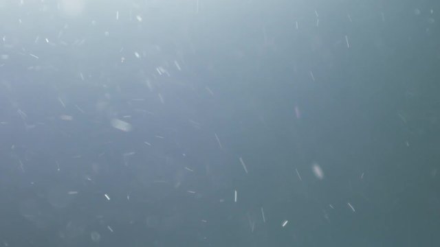 slow motion backlit dust particles with bubble like bokeh fast explosive movement