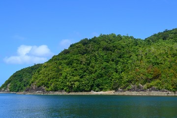 Fototapeta na wymiar A tropical island covered with vegetation. Philippines