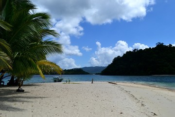 Coast of a tropical island. Philippines