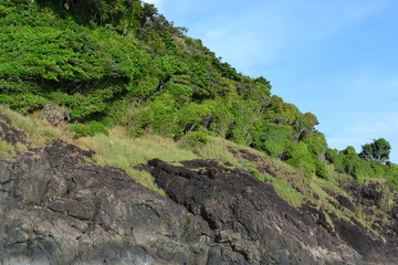 Fototapeta na wymiar A rock, covered with vegetation. Philippines