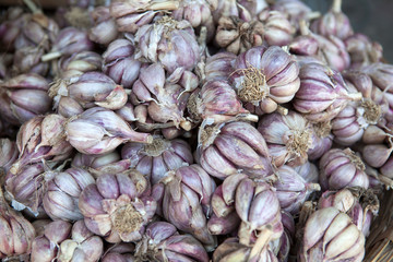Fresh garlic on a market in Bhutan, Asia