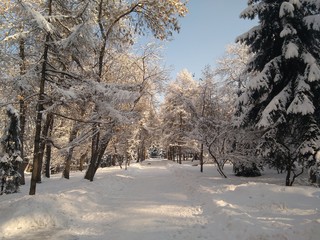 Winter in Panfilov Park, Almaty, Kazakhstan