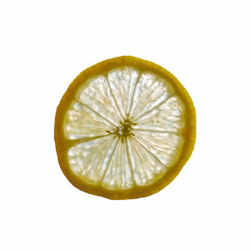 Slice of lemon in backlight