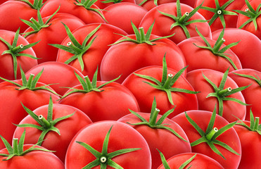 Tomatoes background. Red tomato texture. Top view