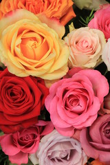 Colorful wedding roses