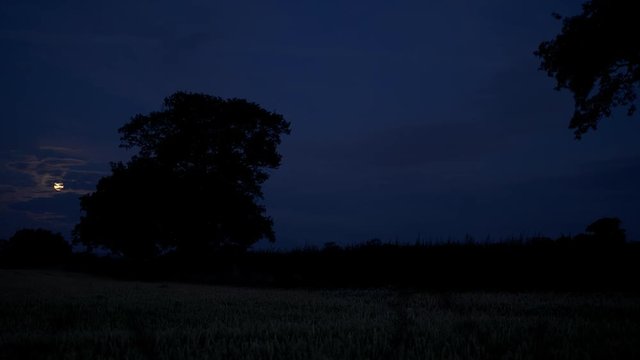 early morning full moon over countryside